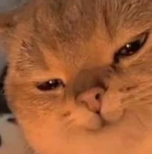 Meet your Posher, Hong